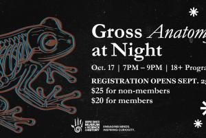 Gross Anatomy At Night