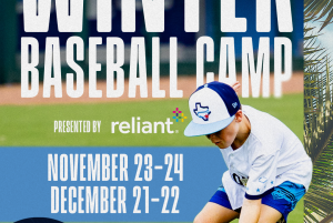 Winter Baseball Camp