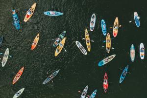 Paddle For Parkinson's