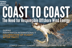 Coast to Coast: The Need for Responsible Offshore Wind Energy