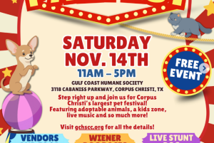 Gulf Coast Humane Society's PAWFEST