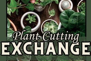 Plant Exchange