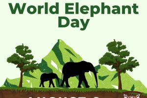World Elephant Day