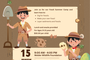Welder Wildlife Foundation Fossil Camp