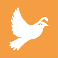 Air icon