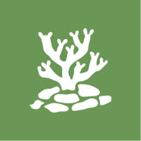 Earth icon