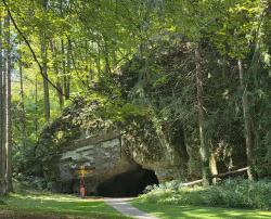 Picture of the entrance at Woodward Cave