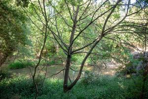 Chitactac-Adams Interpretive Walk