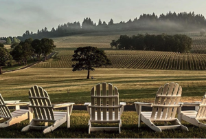 Willamette Valley Wineries Association photo