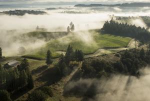 Willamette Valley Wineries Association photo