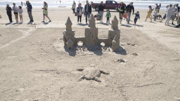 Small Group - 3rd Place - Las Tortugas Marinas Verdes at the 59th Annual Sandcastle Contest