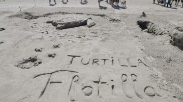 Small Group- 1st Place - Turtilla Flotilla at the 59th Annual Cannon Beach Sandcastle Contest