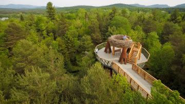 An elevated wooden bridge leading to a larger-than-life birds nest structure surrounded by trees.