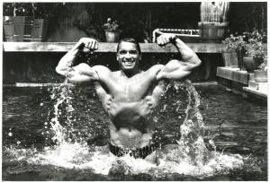 Arnold - FLEX