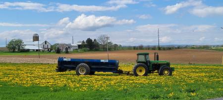 Tractor in field of flowers with blue skies and clouds in the background