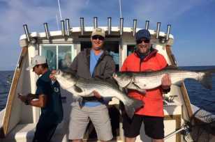 Rhode Island Shark Fishing - ArchAngel Fishing Charters