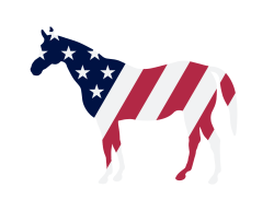 American Flag Logo