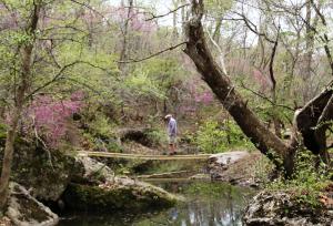Elk City State Park Trail