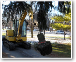 Lowell-Memorial-removal