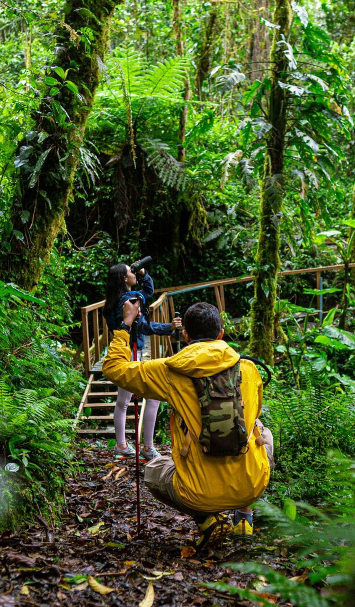 La Amistad International Park, Cerro Punta, Chiriquí Province.