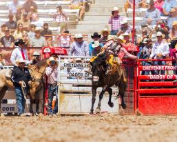 Brody Cress riding saddle bronc at Cheyenne Frontier Days