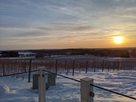 Rove Estate Snowshoe Trail at Sunset