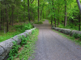 A trail at Rockefeller State Park Preserve with a canopy of lush, green trees.