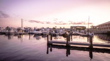 Boats at Laishley Marina