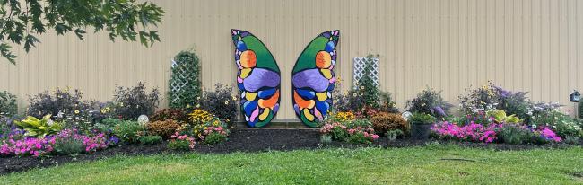 Dougherty Orchard Butterfly Wings