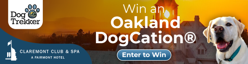 Win an Oakland DogCation Giveaway with Visit Oakland and DogTrekker