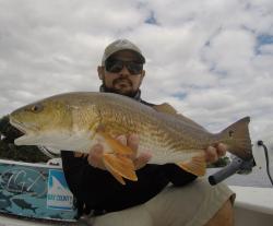 Redfish bay