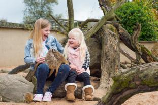 girls meerkat experience