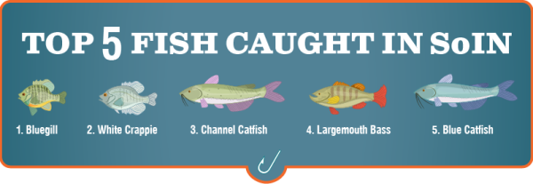 Top Five Fish Caught in SoIN