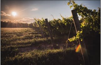Harvest Days