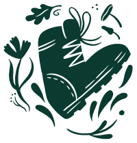 Boot - Oak - Illustration