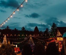 Picture of Christmas Village at Nickle Plate Bar & Grill near Knoebels Amusement Resort and the Joy through the Grove Christmas lights drive through.