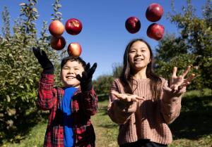 Apple Picking