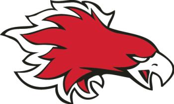 Firebird Logo