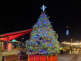 Downtown Christmas Tree Lighting