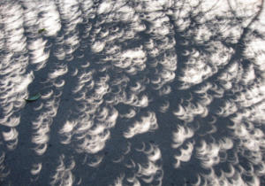 Solar Eclipse Shadow