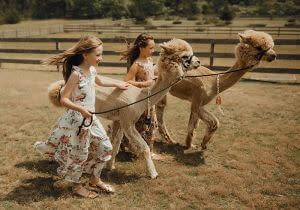 Children with Alpaca