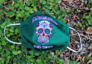 HBA mask for sale