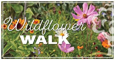 Wildflower Walk Gring's Mill