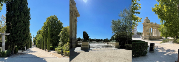 Photos of Parque del Retiro in Madrid