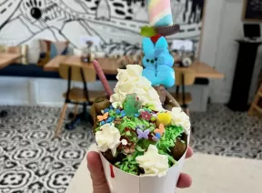 brandy camp ice cream