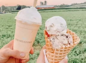 fox-meadows-ice-cream