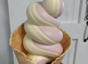 jerrys custard ice cream