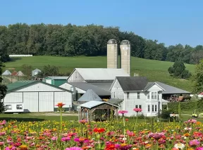 maple bottom farm ice cream