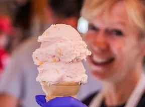 Perrydell Farm ice cream