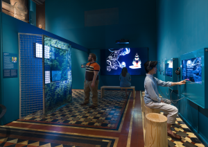 Photo Credit: Alvaro Keding - AMNH